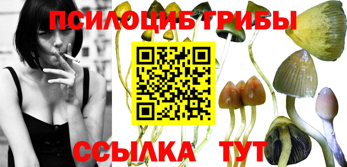 Псилоцибиновые грибы MAGIC MUSHROOMS Трёхгорный